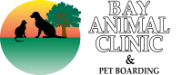 Bay animal clinic
