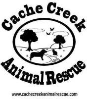 Cache creek animal rescue