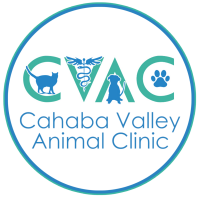 Castroville veterinary clinic