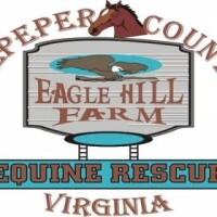 Eagle hill equine rescue