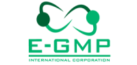 E-gmp international corporation