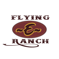 Flying e guest dude ranch