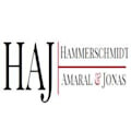 Hammerschmidt amaral & jonas