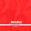 Intedya (international dynamic advisors)