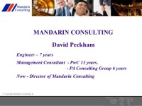 Mandrien consulting group