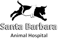 Santa barbara animal hospital