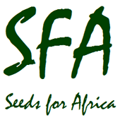 Seeds of africa