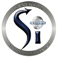 Sinergia internacional networking group