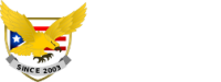 Airbourne Security