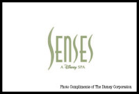 Walt Disney World Grand Floridian Senses Spa
