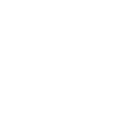 Vivaldi asset management