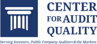 Accountants and auditors association - aaa