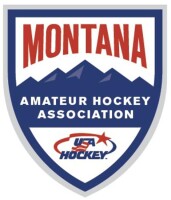 Ann arbor amateur hockey association