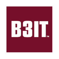 B3IT Management AB