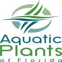 Aquatic plants of florida inc