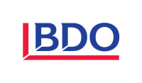 Bdo professional services
