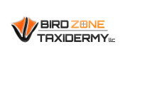 Bird zone taxidermy
