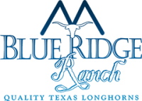 Blue ridge ranch
