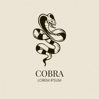 Cobra imaging