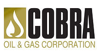 Cobra petroleum corp