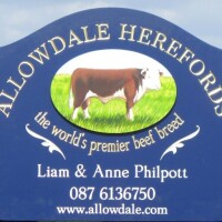 Allowdale Herefords