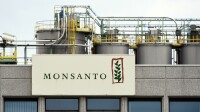 Monsanto Antwerp
