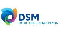 Dsm technologies ltd