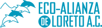 Eco-alianza de loreto a.c.
