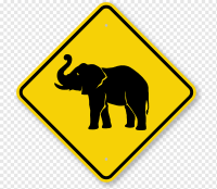 Elephant traffic