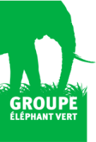 Groupe éléphant vert