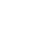 Vicente Wolf Associates