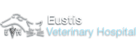 Eustis veterinary hospital