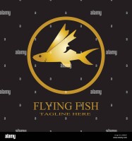 Flying fish design & production