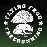 Flying frog academy