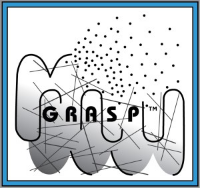 Grasp global regional asperger syndrome partnership
