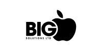 Big Apple Solutions