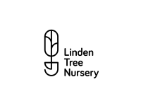 Linden nursery