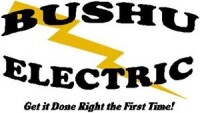 Bushu Electric