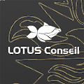 Lotus conseil