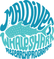 Maldives whale shark research programme
