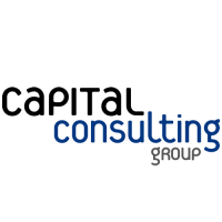 Manville capital consulting group