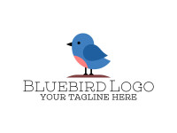 Bluebird designs by mera