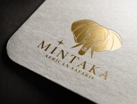 Mintaka financial
