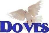 Newport coast white dove release