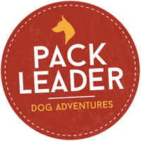 Pack leader marketing