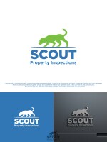 Scout inspections