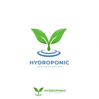 Sea of green hydroponics