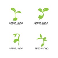 Seed concepts