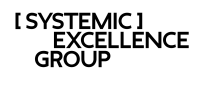 The systemic excellence group