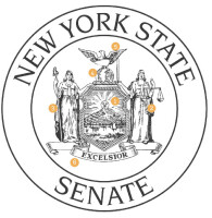 Former new york state senate candidate